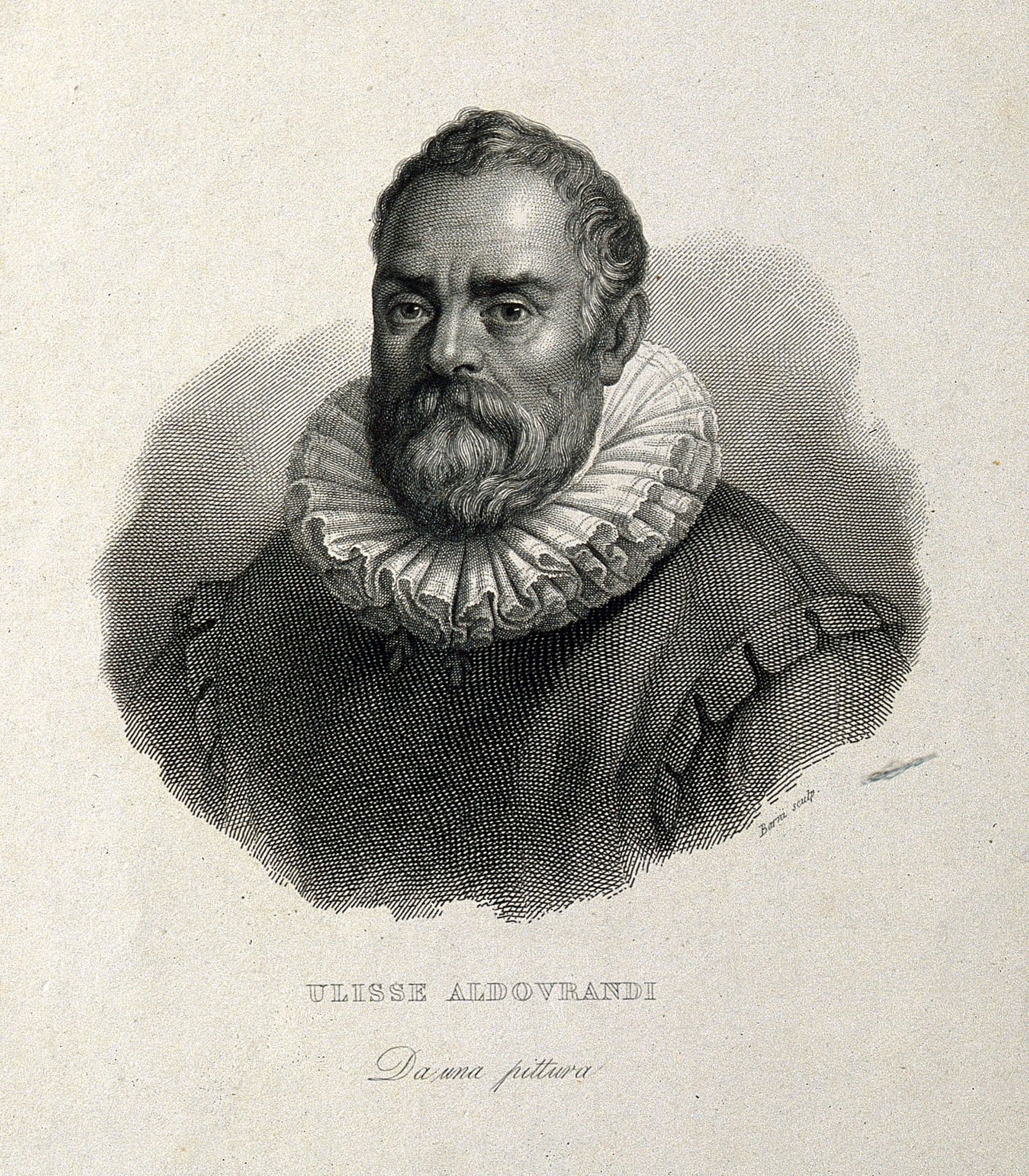 Ulisse Aldrovandi. Line engraving by Barni after Rosaspina.