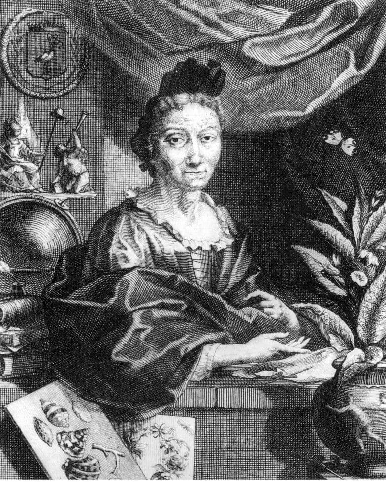 Portrait of Maria Sibylla Merian. Copper engraving (c. 1700)